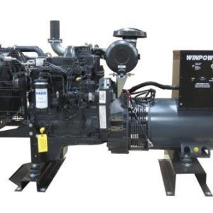 Support for Winpower Model:  DE65I4