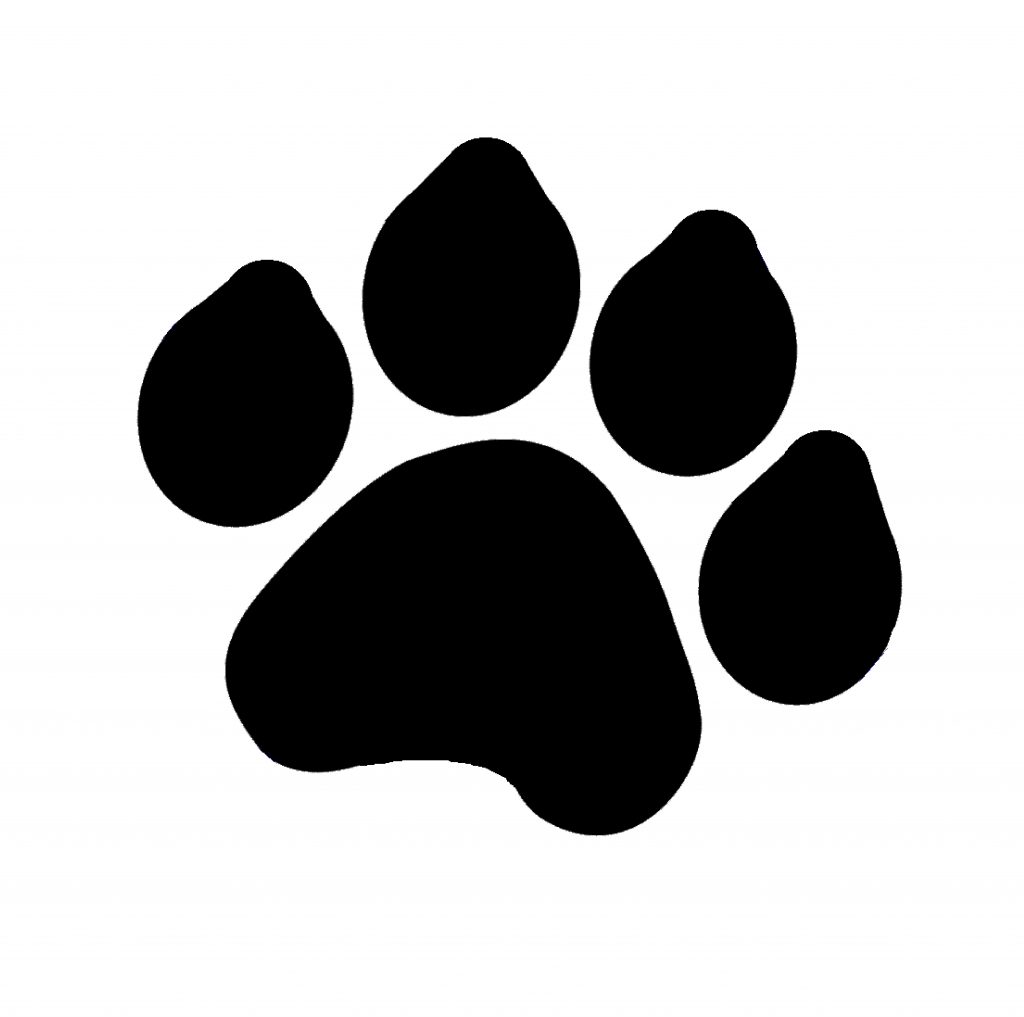 Big Dog Paw